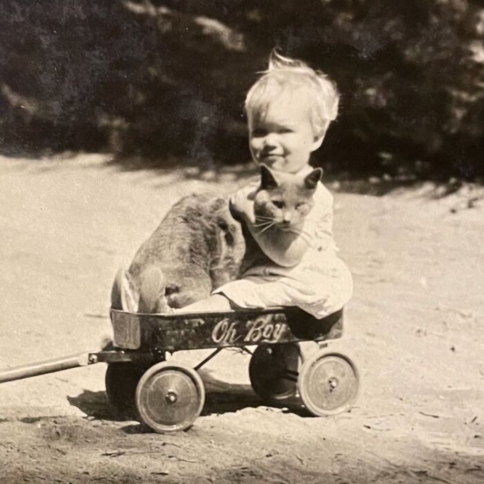 These Charming Vintage Cat Photos Are Taking Over Instagram—and People Can’t Get Enough (30 Pics)