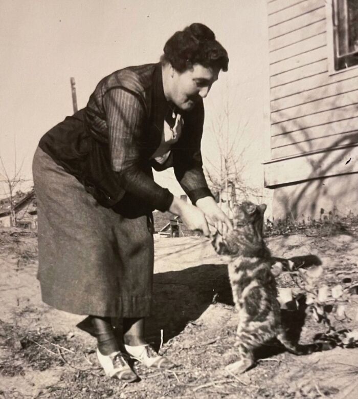 These Charming Vintage Cat Photos Are Taking Over Instagram—and People Can’t Get Enough (30 Pics)
