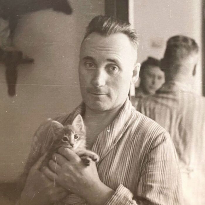 These Charming Vintage Cat Photos Are Taking Over Instagram—and People Can’t Get Enough (30 Pics)