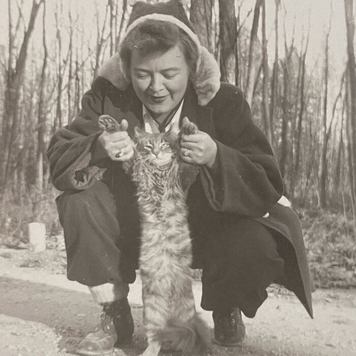 These Charming Vintage Cat Photos Are Taking Over Instagram—and People Can’t Get Enough (30 Pics)