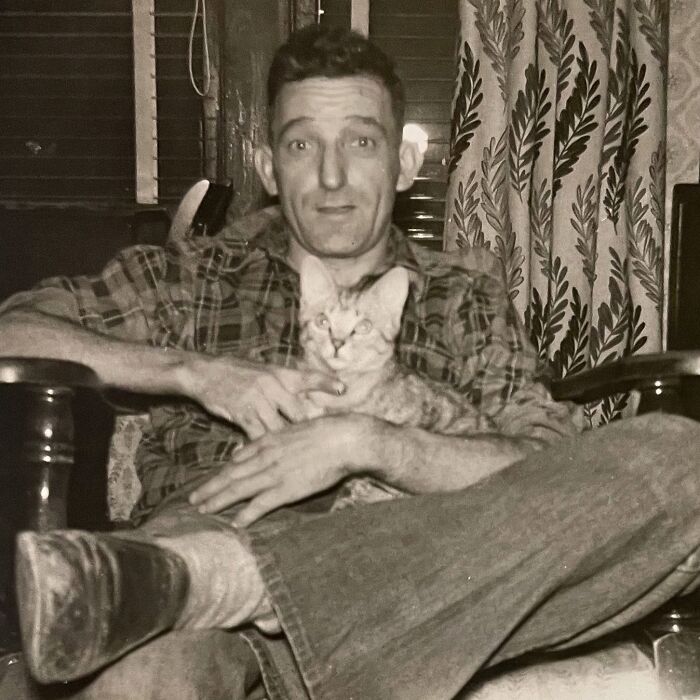 These Charming Vintage Cat Photos Are Taking Over Instagram—and People Can’t Get Enough (30 Pics)