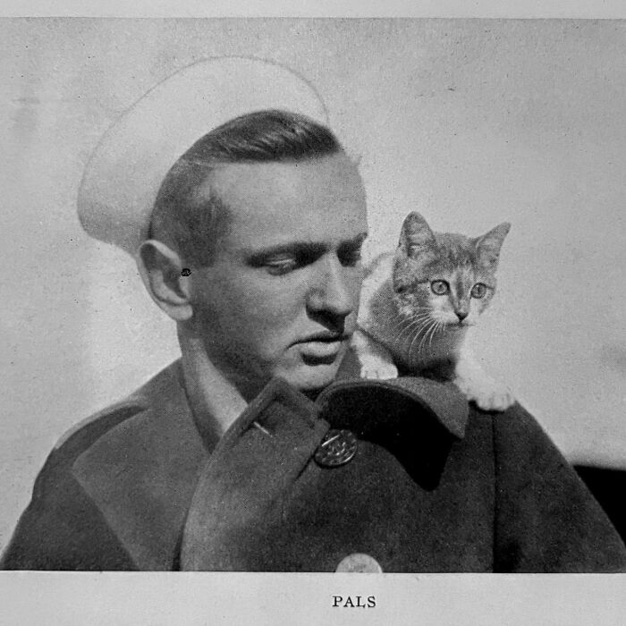 These Charming Vintage Cat Photos Are Taking Over Instagram—and People Can’t Get Enough (30 Pics)