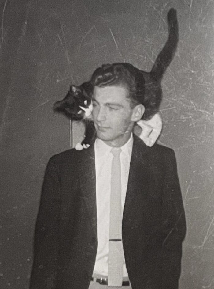 These Charming Vintage Cat Photos Are Taking Over Instagram—and People Can’t Get Enough (30 Pics)