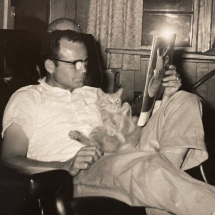 These Charming Vintage Cat Photos Are Taking Over Instagram—and People Can’t Get Enough (30 Pics)