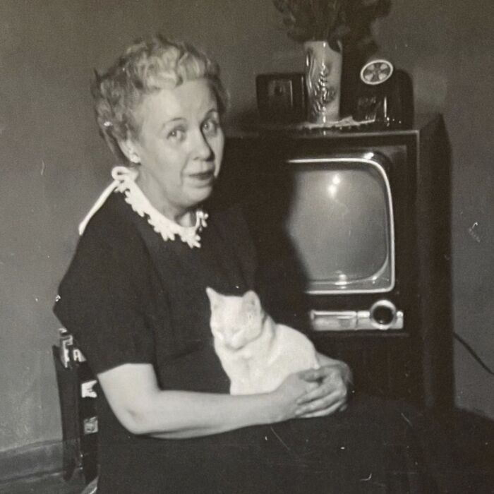 These Charming Vintage Cat Photos Are Taking Over Instagram—and People Can’t Get Enough (30 Pics)