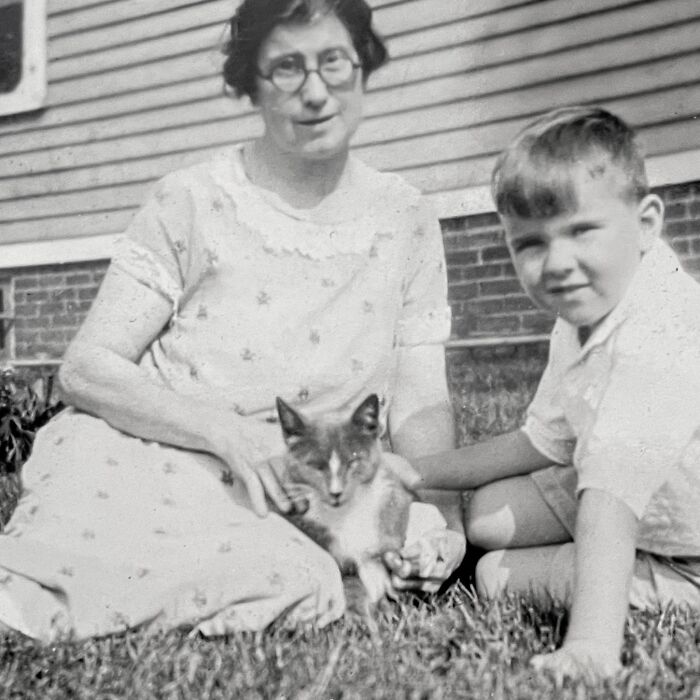 These Charming Vintage Cat Photos Are Taking Over Instagram—and People Can’t Get Enough (30 Pics)