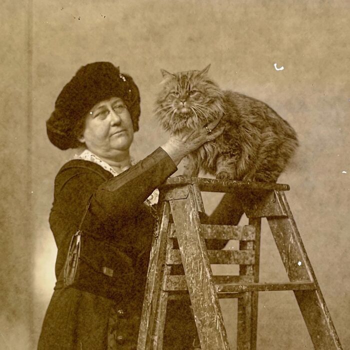 These Charming Vintage Cat Photos Are Taking Over Instagram—and People Can’t Get Enough (30 Pics)