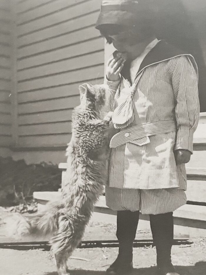 These Charming Vintage Cat Photos Are Taking Over Instagram—and People Can’t Get Enough (30 Pics)
