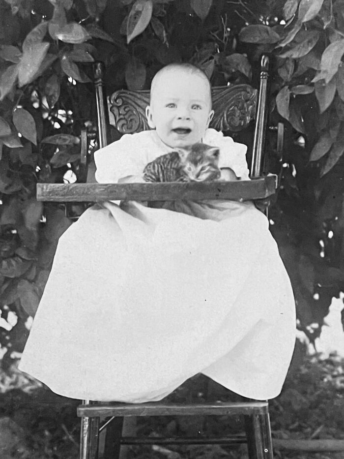 These Charming Vintage Cat Photos Are Taking Over Instagram—and People Can’t Get Enough (30 Pics)