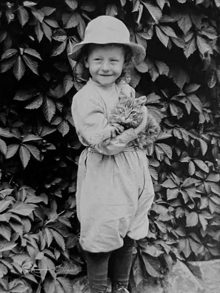 These Charming Vintage Cat Photos Are Taking Over Instagram—and People Can’t Get Enough (30 Pics)