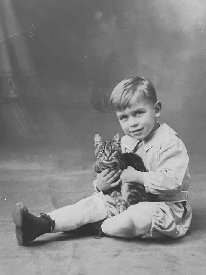 These Charming Vintage Cat Photos Are Taking Over Instagram—and People Can’t Get Enough (30 Pics)