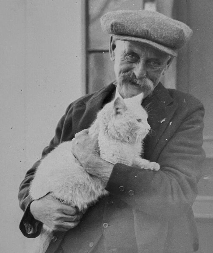 These Charming Vintage Cat Photos Are Taking Over Instagram—and People Can’t Get Enough (30 Pics)