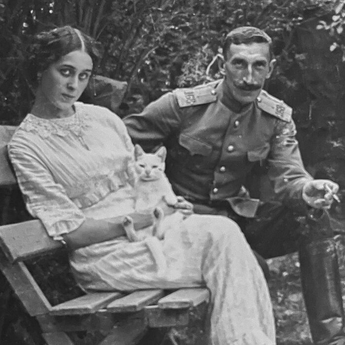 These Charming Vintage Cat Photos Are Taking Over Instagram—and People Can’t Get Enough (30 Pics)