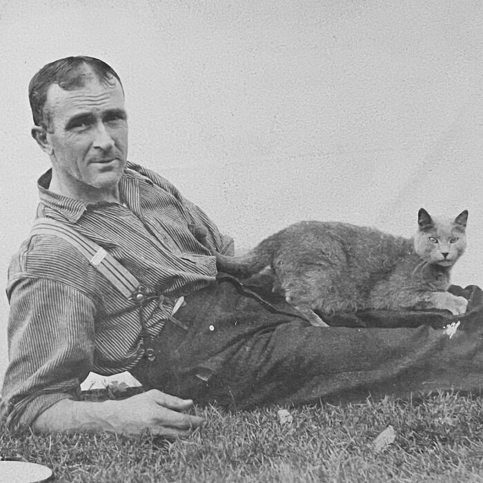 These Charming Vintage Cat Photos Are Taking Over Instagram—and People Can’t Get Enough (30 Pics)