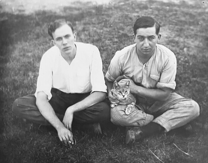 These Charming Vintage Cat Photos Are Taking Over Instagram—and People Can’t Get Enough (30 Pics)