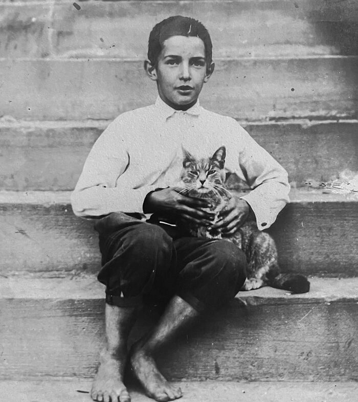 These Charming Vintage Cat Photos Are Taking Over Instagram—and People Can’t Get Enough (30 Pics)