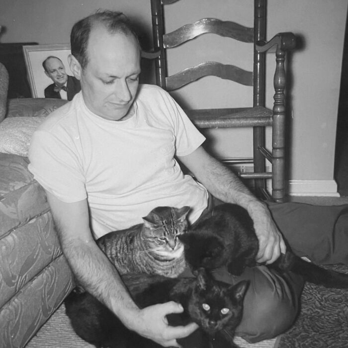 These Charming Vintage Cat Photos Are Taking Over Instagram—and People Can’t Get Enough (30 Pics)