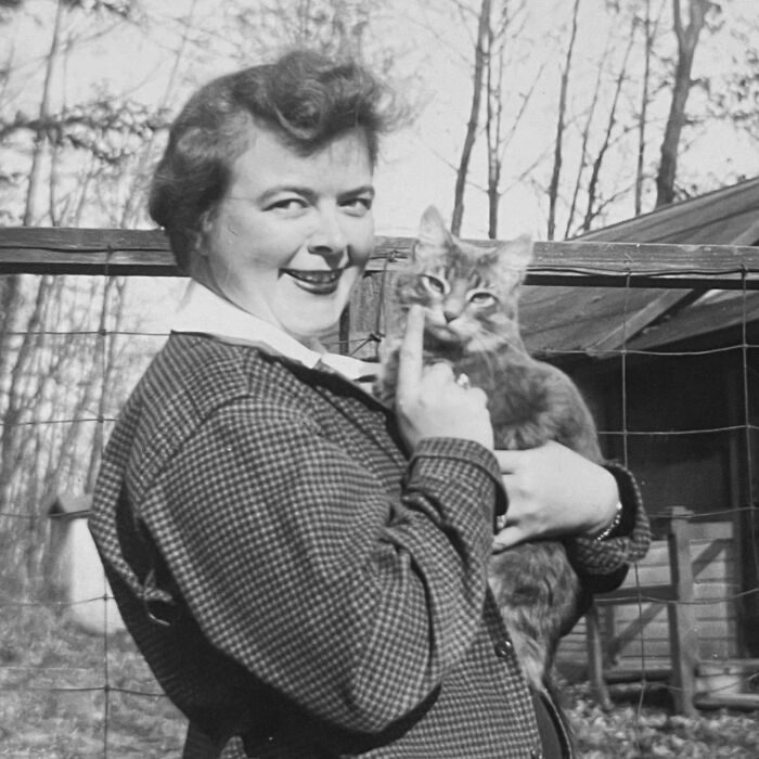 These Charming Vintage Cat Photos Are Taking Over Instagram—and People Can’t Get Enough (30 Pics)