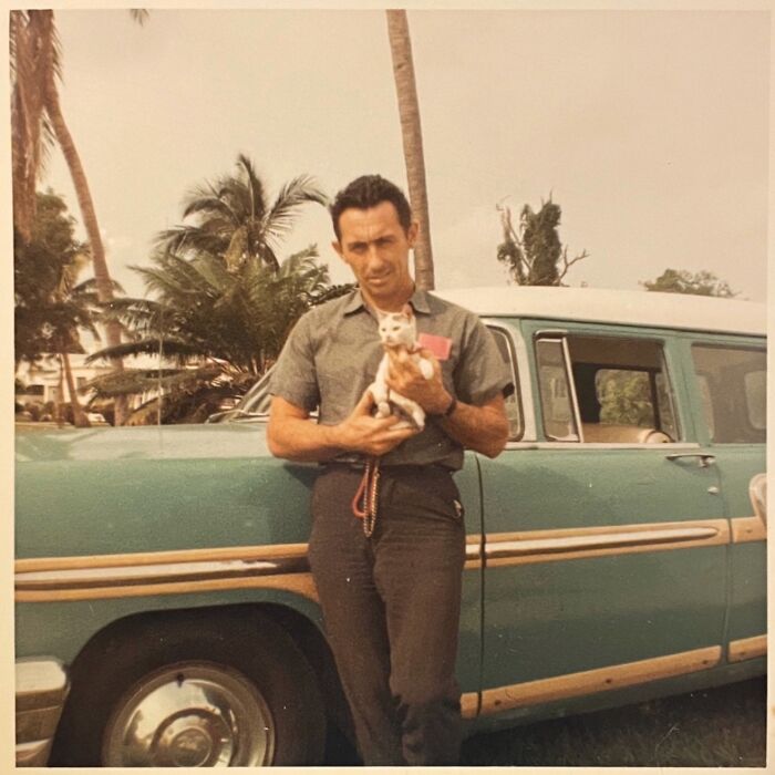 These Charming Vintage Cat Photos Are Taking Over Instagram—and People Can’t Get Enough (30 Pics)