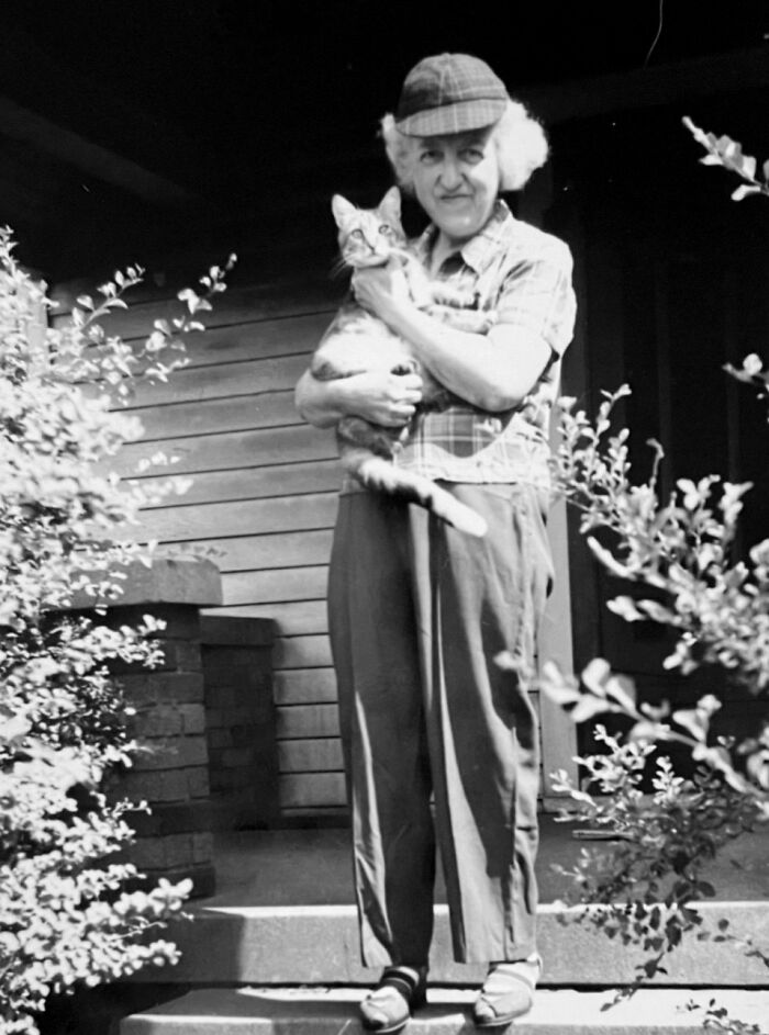 These Charming Vintage Cat Photos Are Taking Over Instagram—and People Can’t Get Enough (30 Pics)