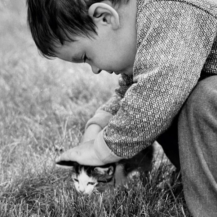 These Charming Vintage Cat Photos Are Taking Over Instagram—and People Can’t Get Enough (30 Pics)