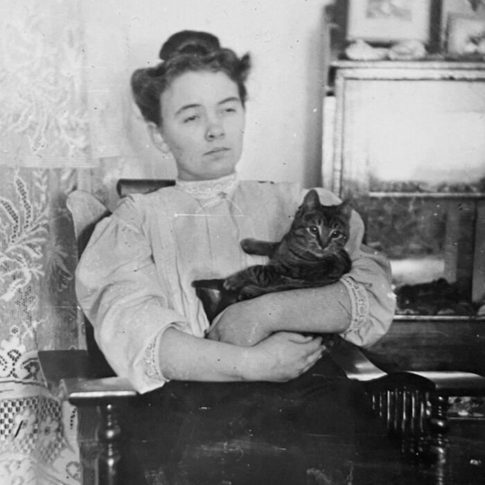 These Charming Vintage Cat Photos Are Taking Over Instagram—and People Can’t Get Enough (30 Pics)