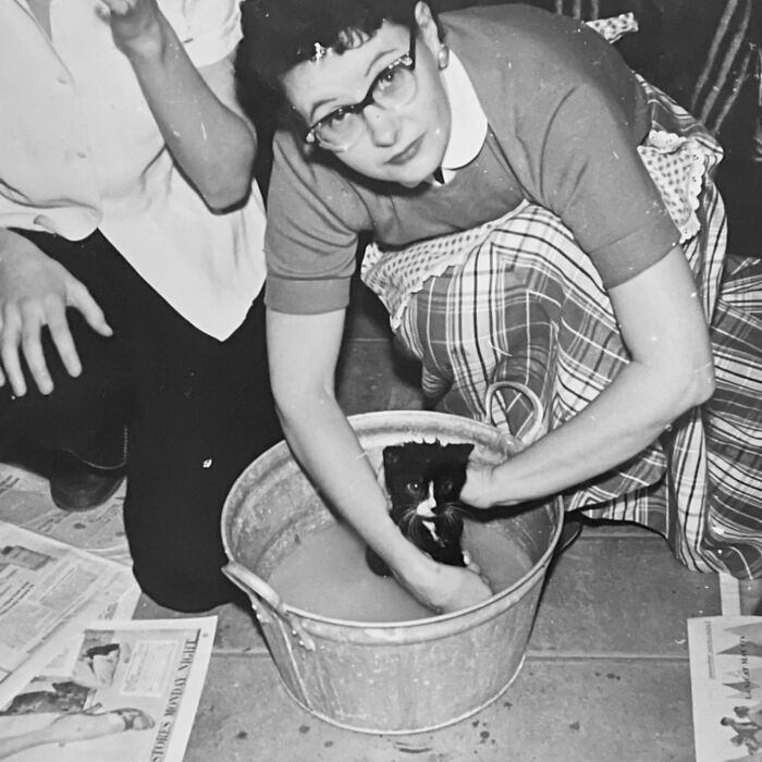 These Charming Vintage Cat Photos Are Taking Over Instagram—and People Can’t Get Enough (30 Pics)