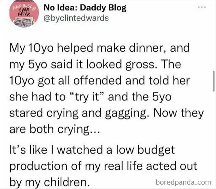 A screenshot of a funny parent sharing a relatable story about their kids arguing over dinner, illustrating a dumb and funny kid moment.