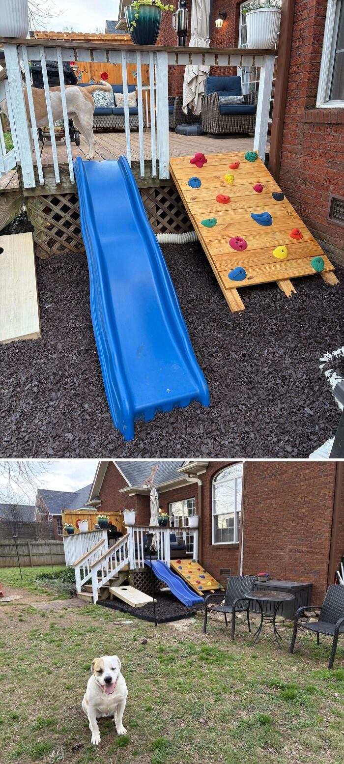 A backyard with a patio, a dog on the grass, a slide, and a climbing wall for dads and kids to enjoy.