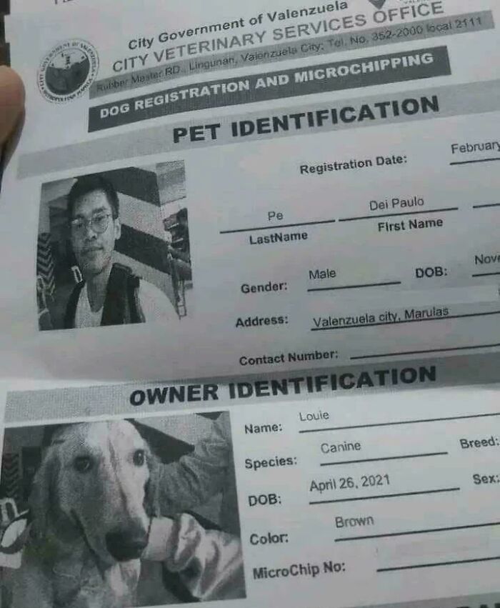 A hilariously bad pet identification form with a human photo for the pet and a dog photo for the owner, a funny fail.
