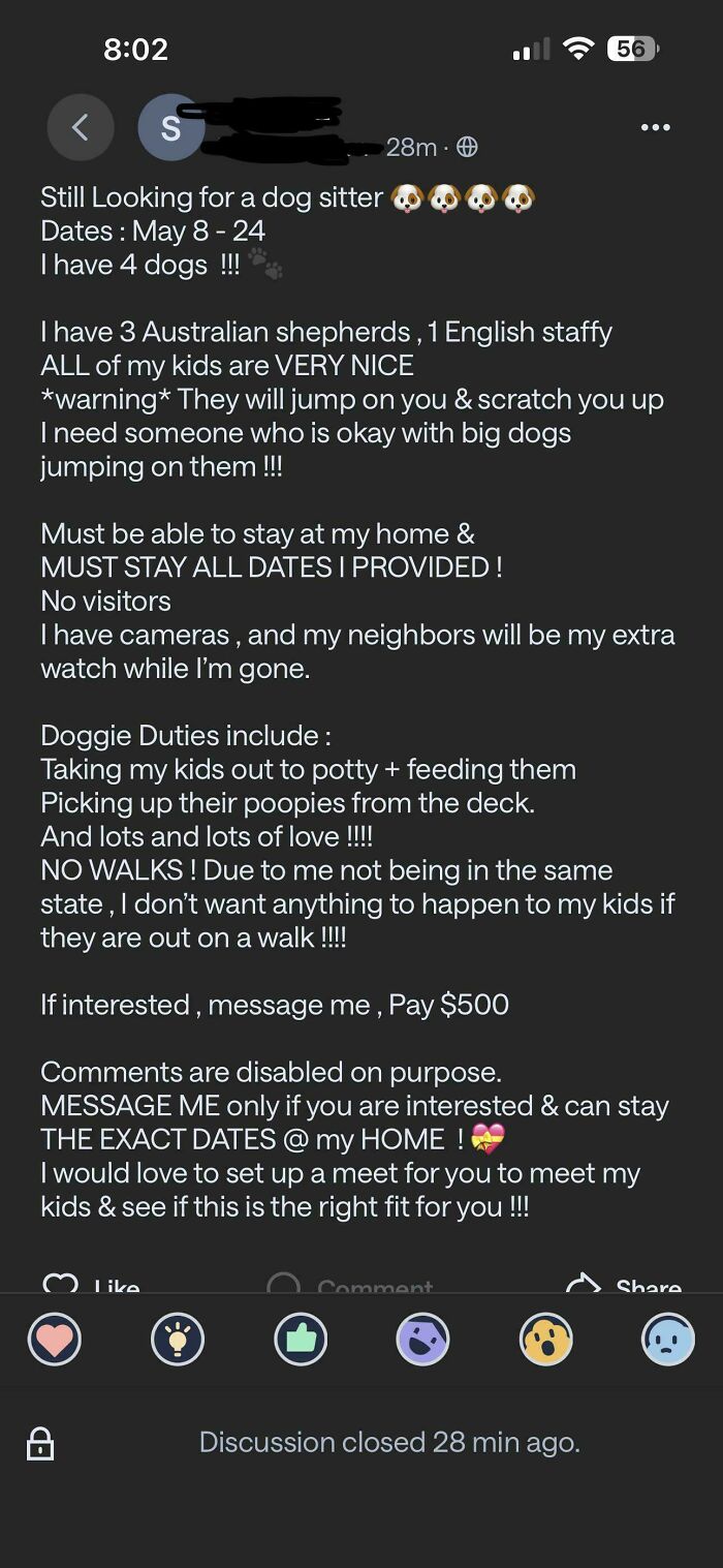 A hilariously detailed screenshot of a neighborhood online community post seeking a dog sitter for four big dogs, highlighting funny and wild rules.