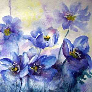 genevievenabors avatar