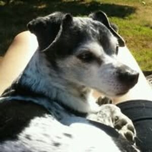 bubster_leroy avatar