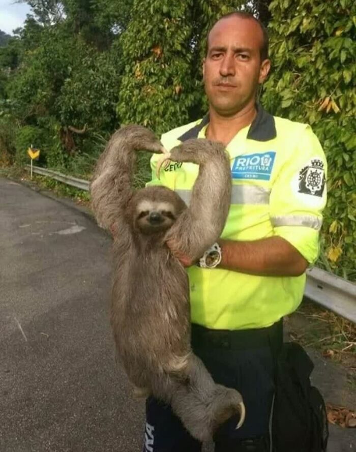 A man in a neon shirt holds a sloth that flexes its arms, a weird image that made people go hmmm.