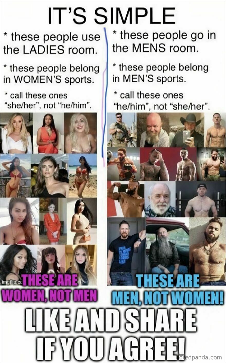 A meme contrasting images of women and men, arguing for traditional gender roles, sparking discussions on LGBTQ+ allyship.