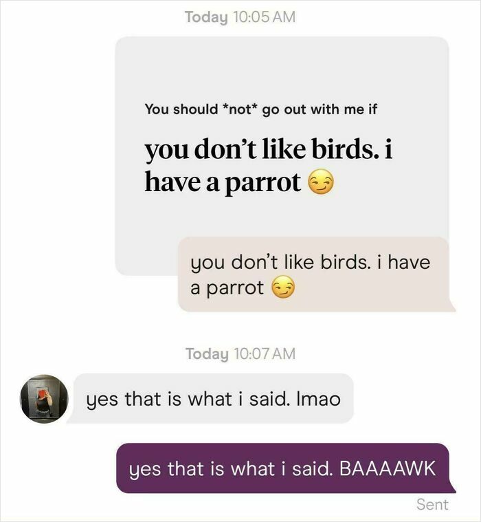 Funny text exchanges of a conversation about not liking birds, escalating to a parrot squawk.