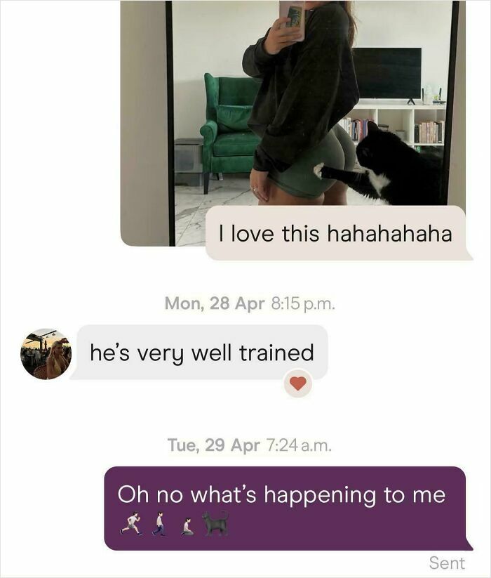 A funny text exchange where a person shares a mirror selfie with a cat pawing their b**t, making people laugh.