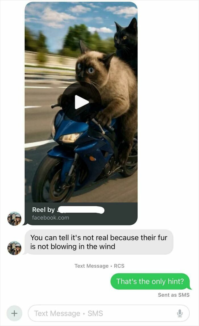 A funny text exchange showing two cats riding a blue motorcycle, with one cat driving. A conversation below questions the video's realism.