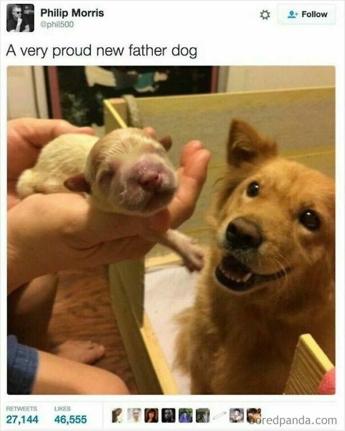 53 Wholesome Internet Finds That Might Just Lift Your Mood