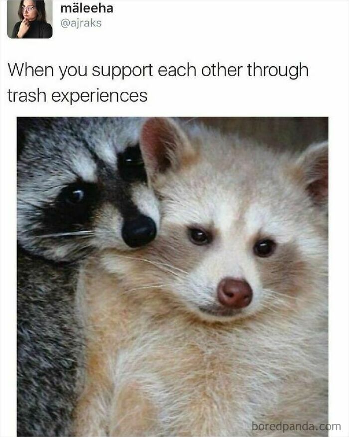 53 Wholesome Internet Finds That Might Just Lift Your Mood