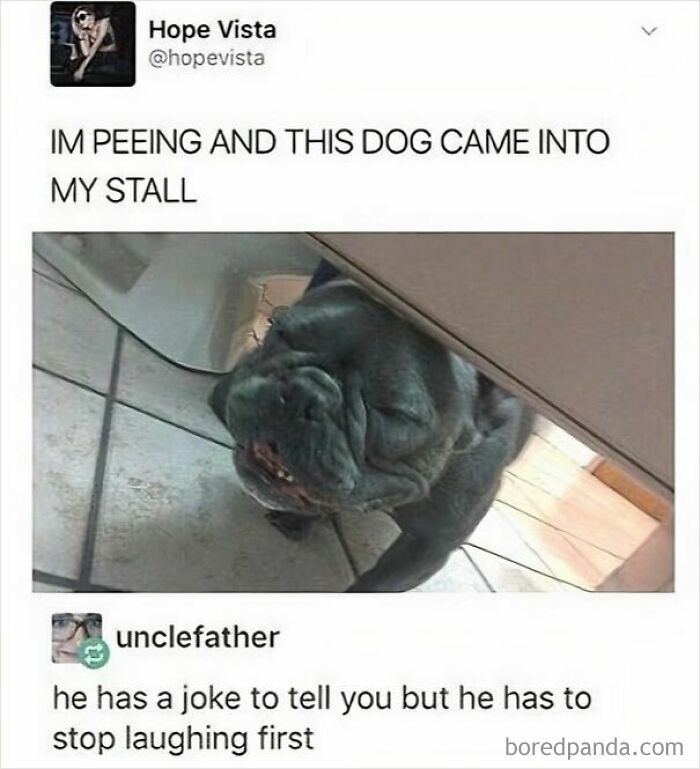 53 Wholesome Internet Finds That Might Just Lift Your Mood