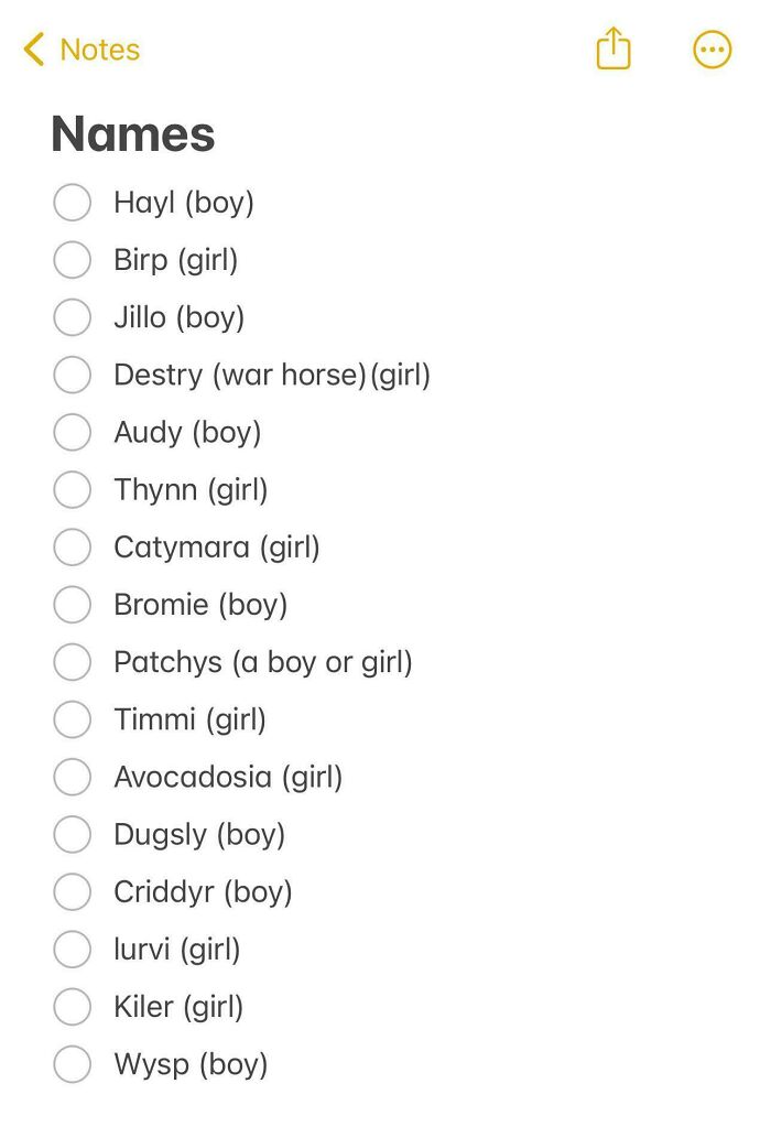 A list of unusual kids names on a Notes app, showcasing names like "Destry (war horse)" and "Avocadosia."