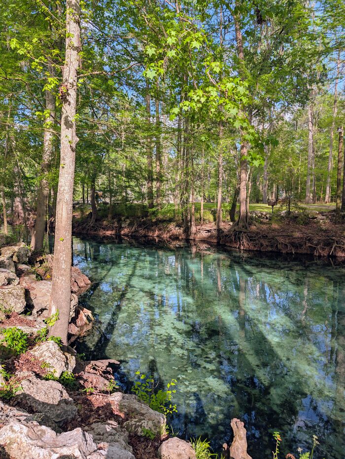 A clear, serene spring nestled in a lush green forest, offering a gentle reset for your day. Satisfying picture.