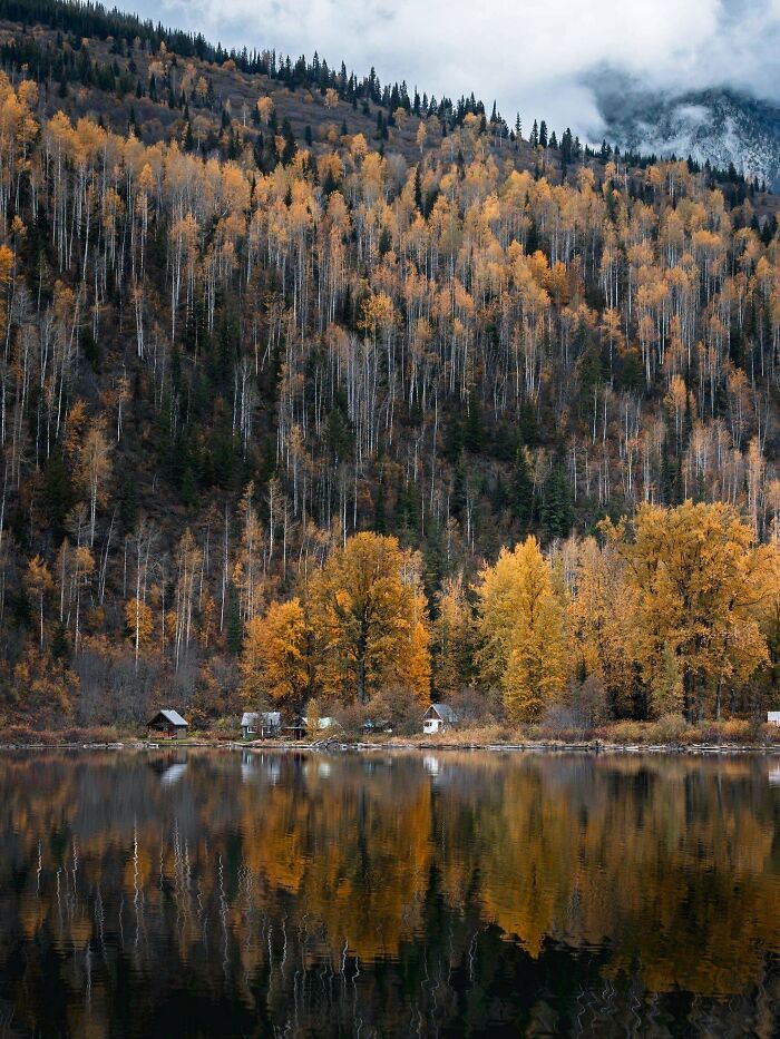 Autumnal trees and small houses reflect perfectly on a calm lake, offering a satisfying picture and gentle reset.