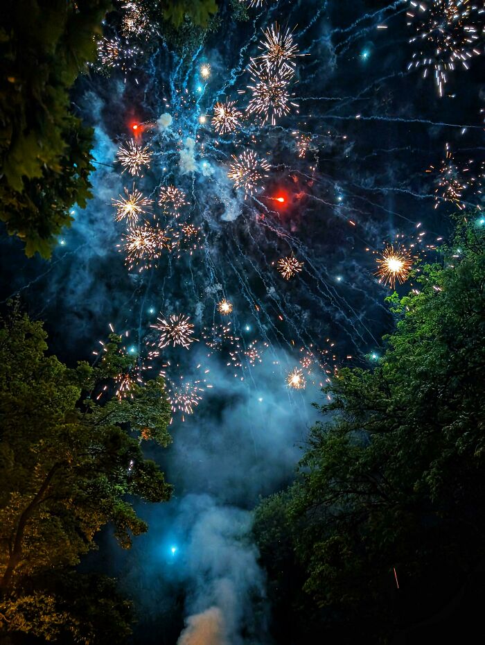 Bright fireworks exploding in a night sky, framed by trees, creating a satisfying visual for a gentle reset.