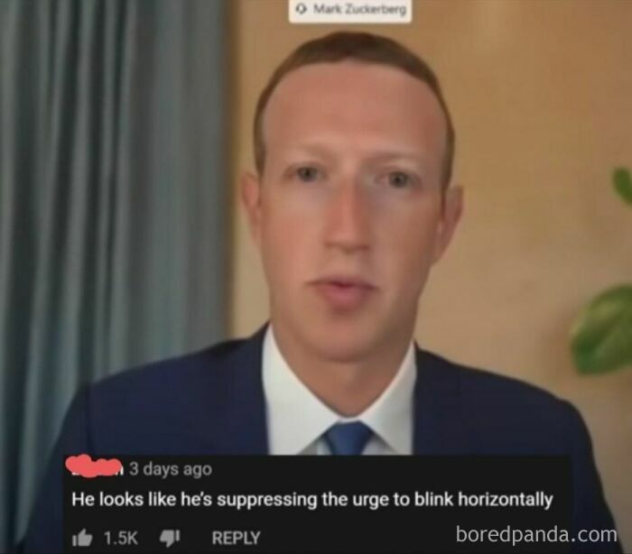 Mark Zuckerberg in a video call, below a burn comment: He looks like he's suppressing the urge to blink horizontally.