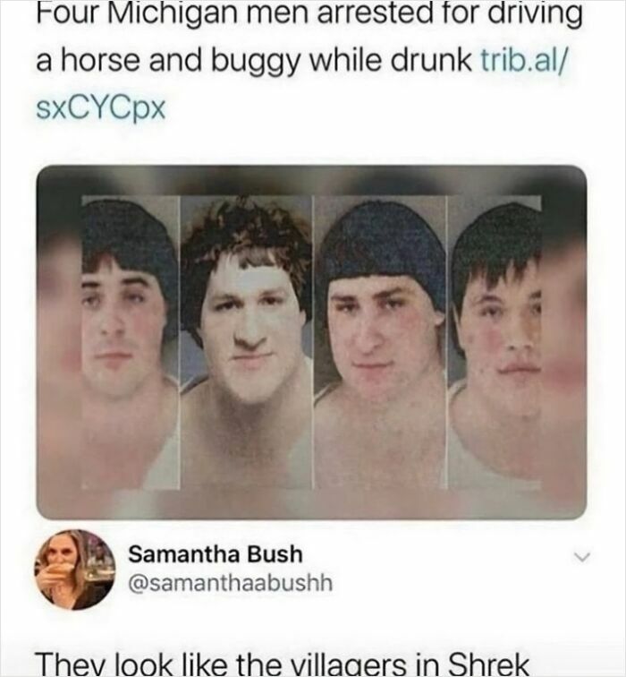 Mugshots of four men, part of a news story about drunk driving a horse and buggy, generating rare burns online.