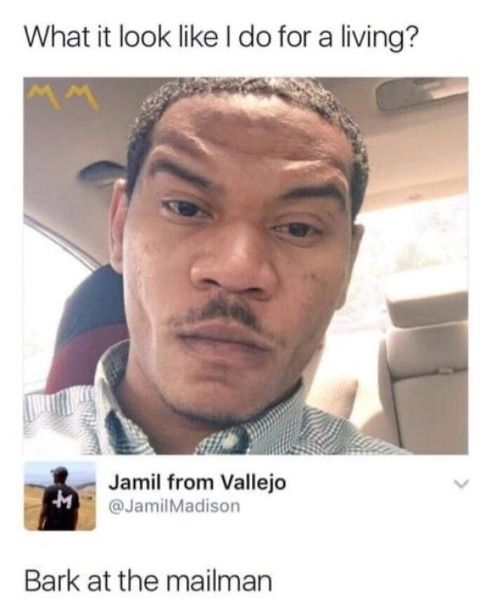 A man with an intense facial expression, a true rare burn, looking at the camera. The meme asks, What it look like I do for a living?