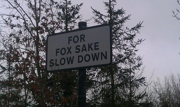 Playful road sign saying For Fox Sake Slow Down in countryside