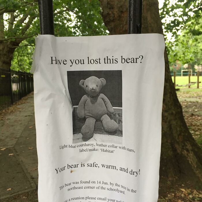 Lost teddy bear flyer with humorous message in park